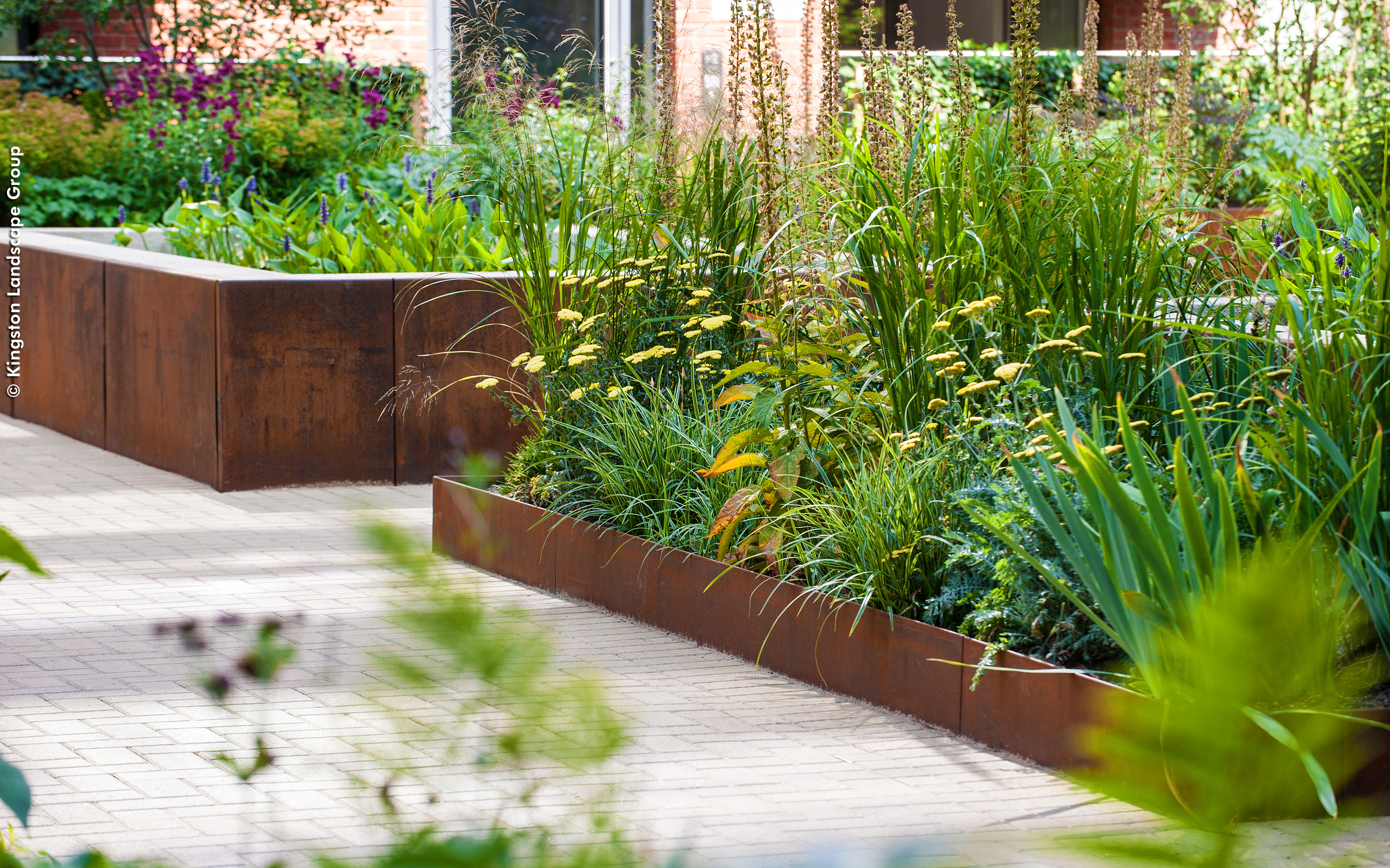 Plant bed with lushious vegetaion surrounded by rusted steel edgings